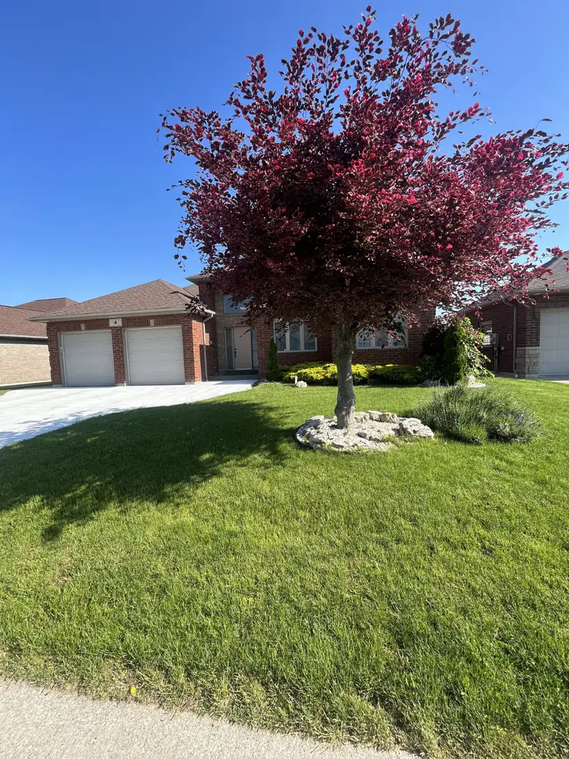 Before: the old front lawn